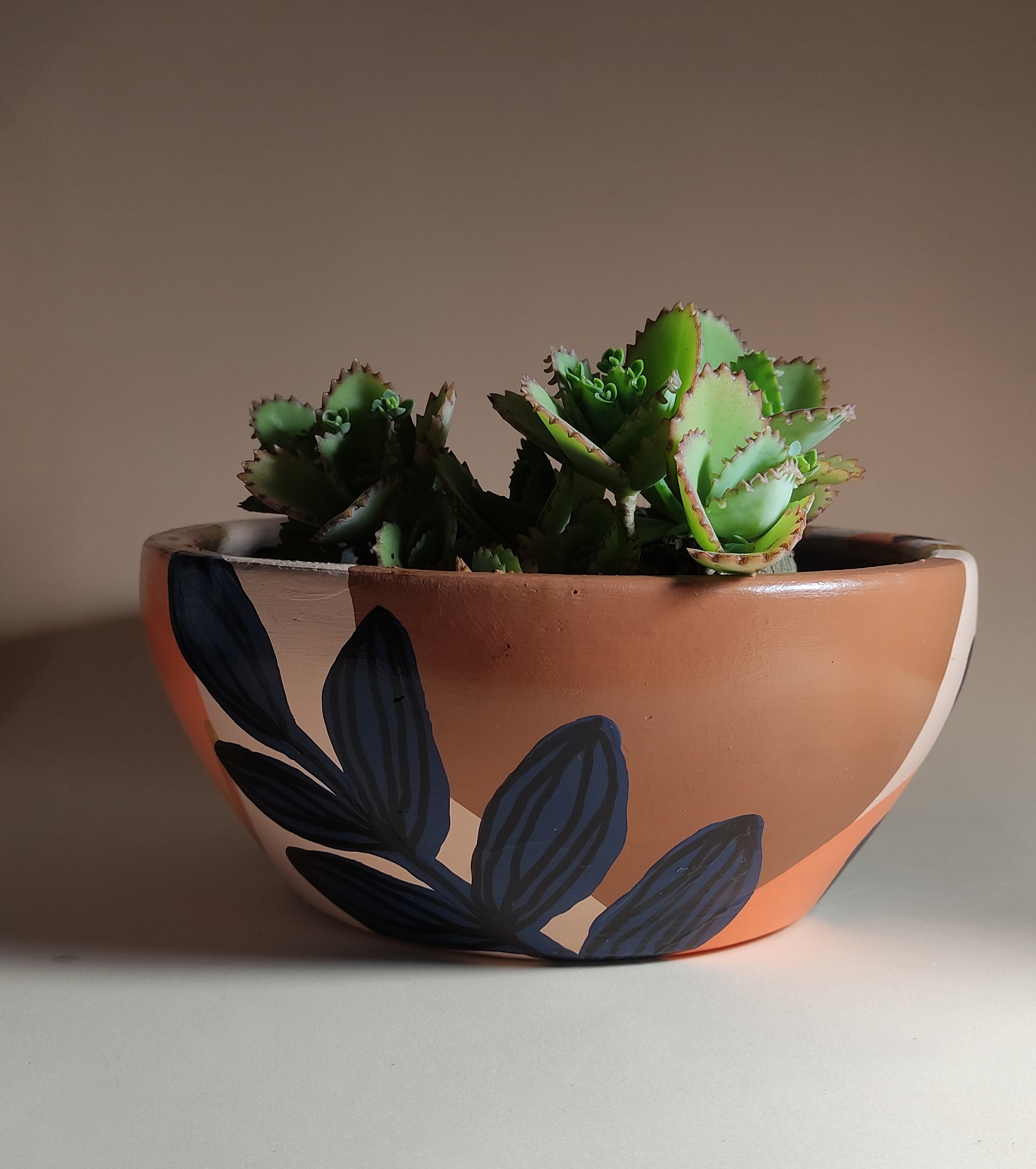 Vaso pintado com suculentas